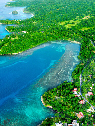 coral reef mack bay